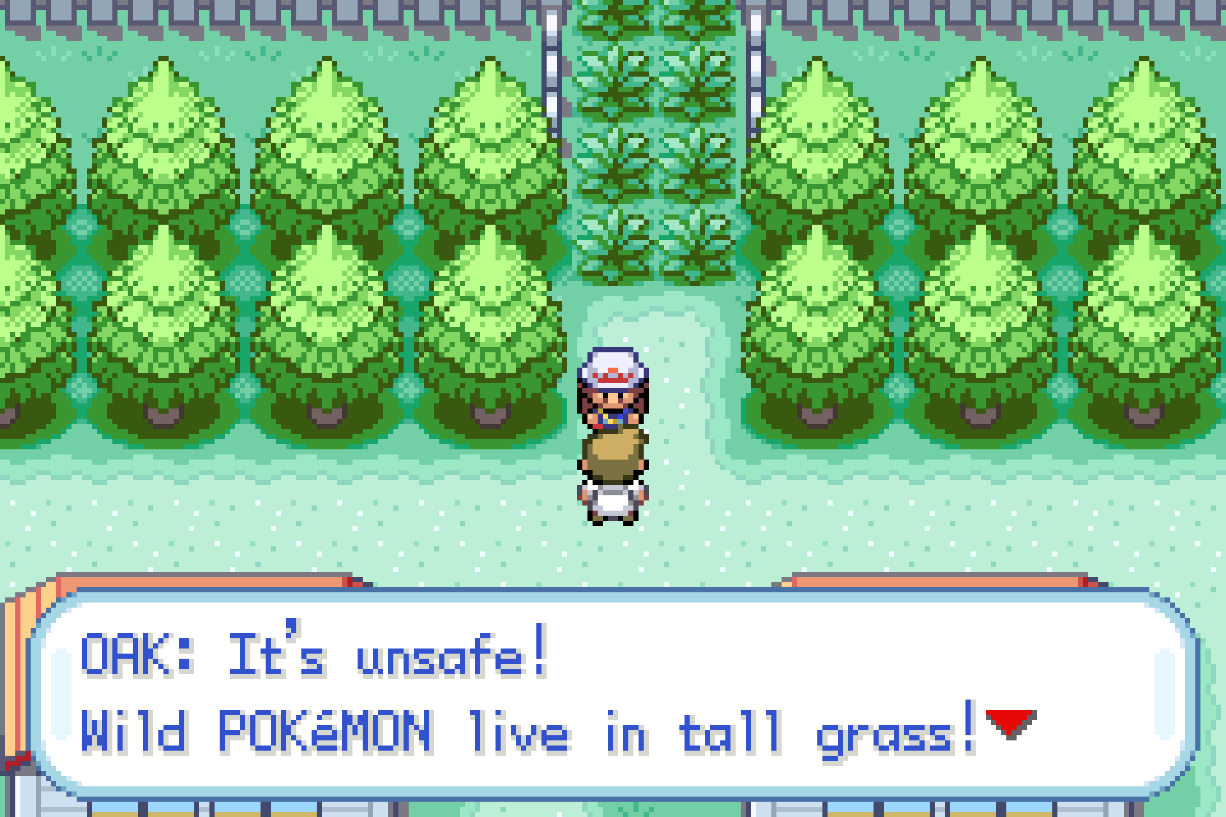 It's unsafe! Wild Pokemon live in tall grass!